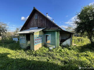 Дом в деревне на большом участке с атмосферным ремонтом и санузлом. Находится в Минской области, а стоит $25 000