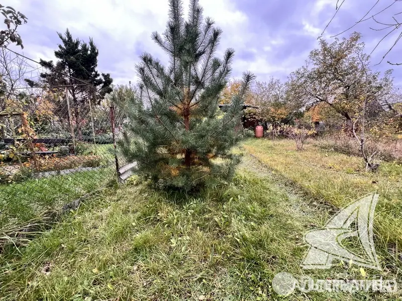 участок, Турист-2,