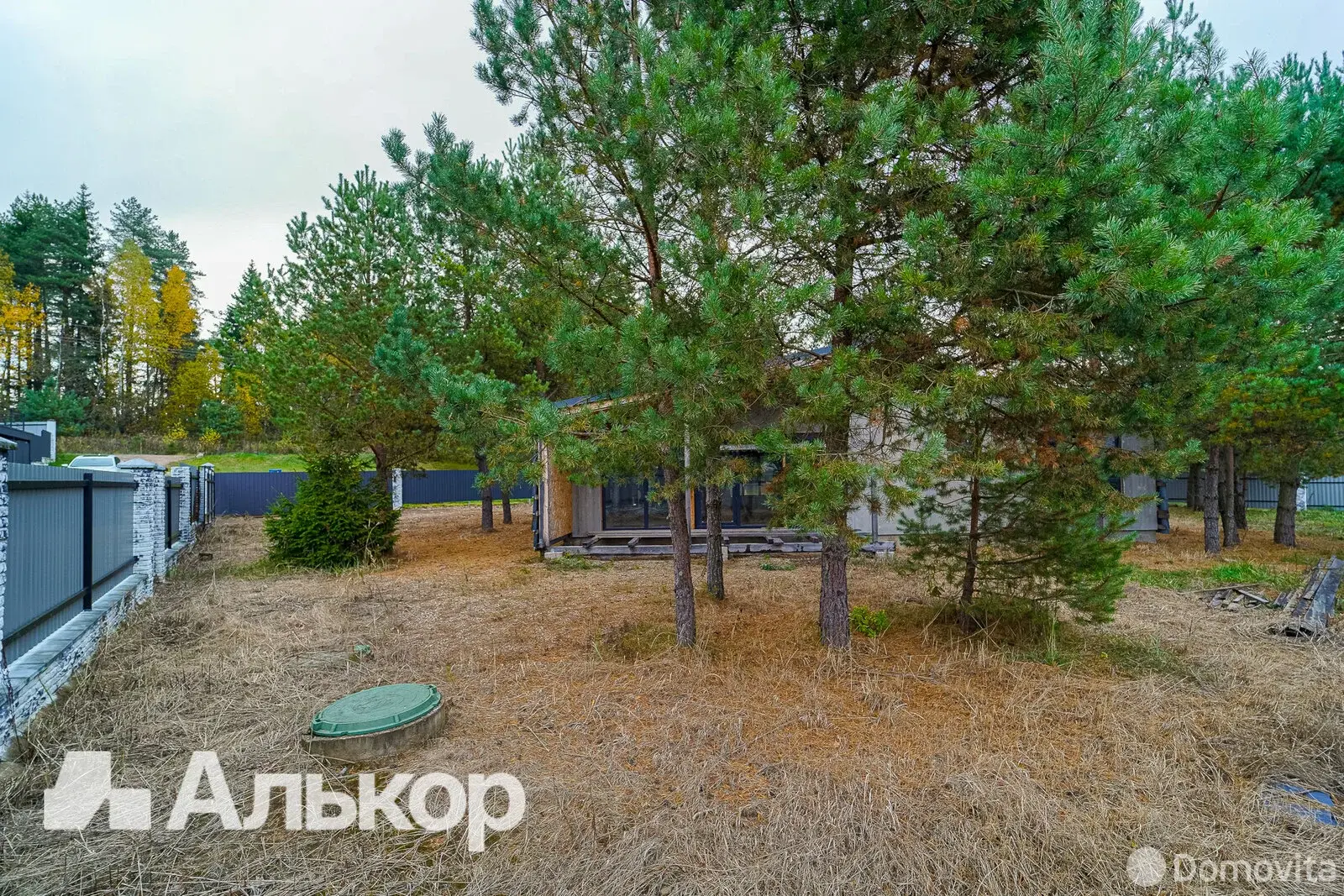 Купить 1-этажную дачу в Абсолют-2009 Минская область, 67000USD, код 184367 - фото 20