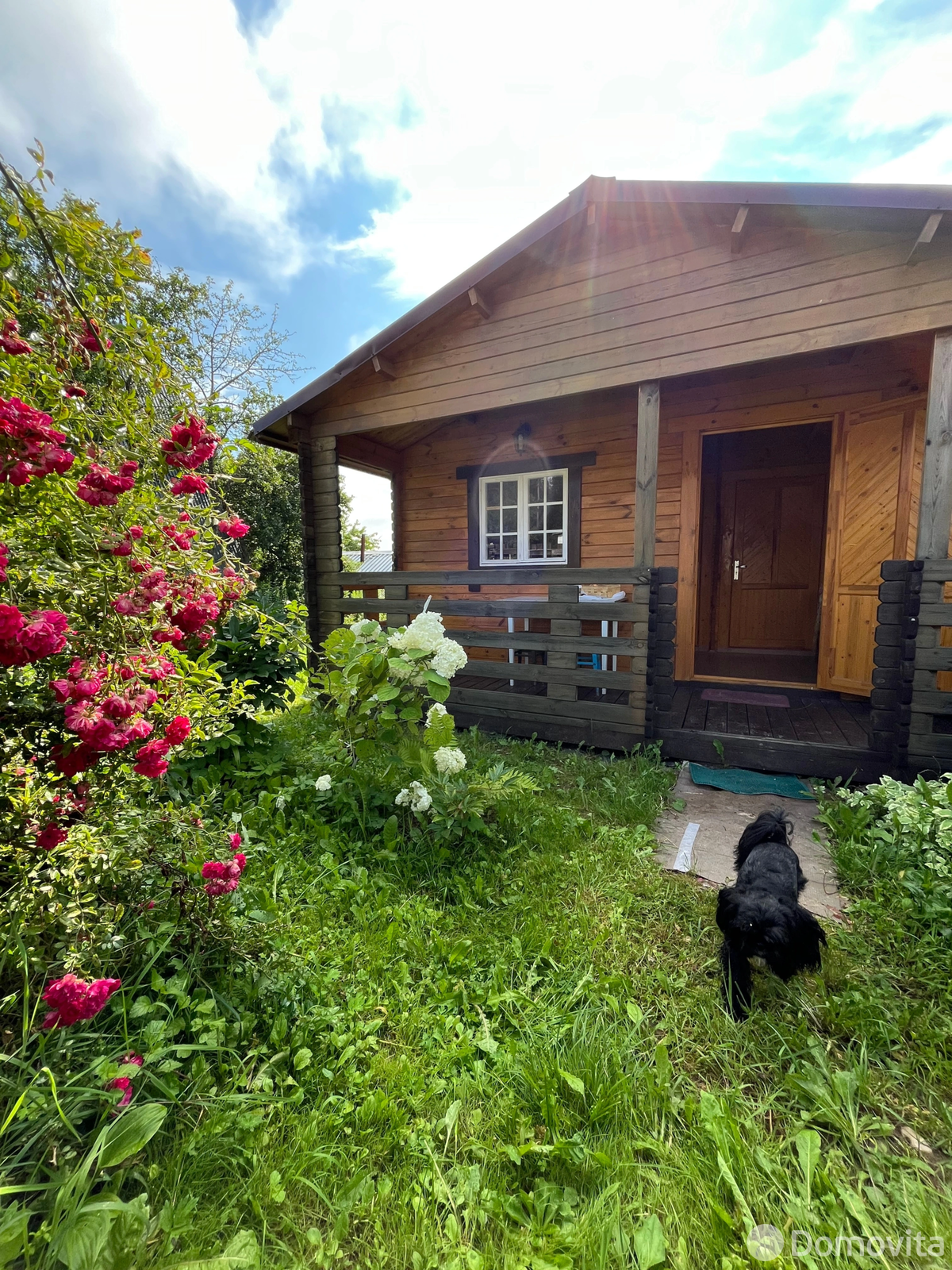 дача, Олехновичи,