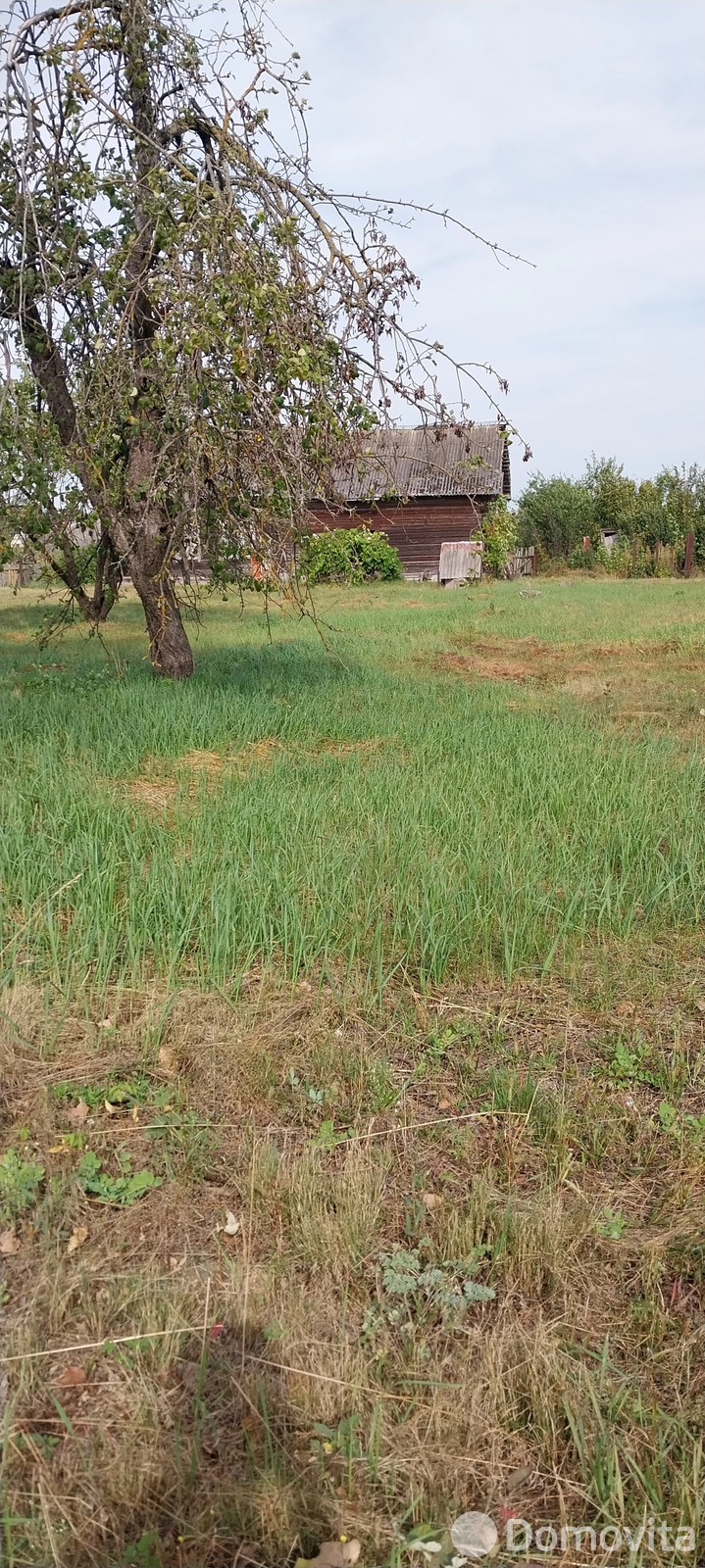 Купить земельный участок, 17 соток, Язовинь, Минская область, 22000BYN, код 570987 - фото 26