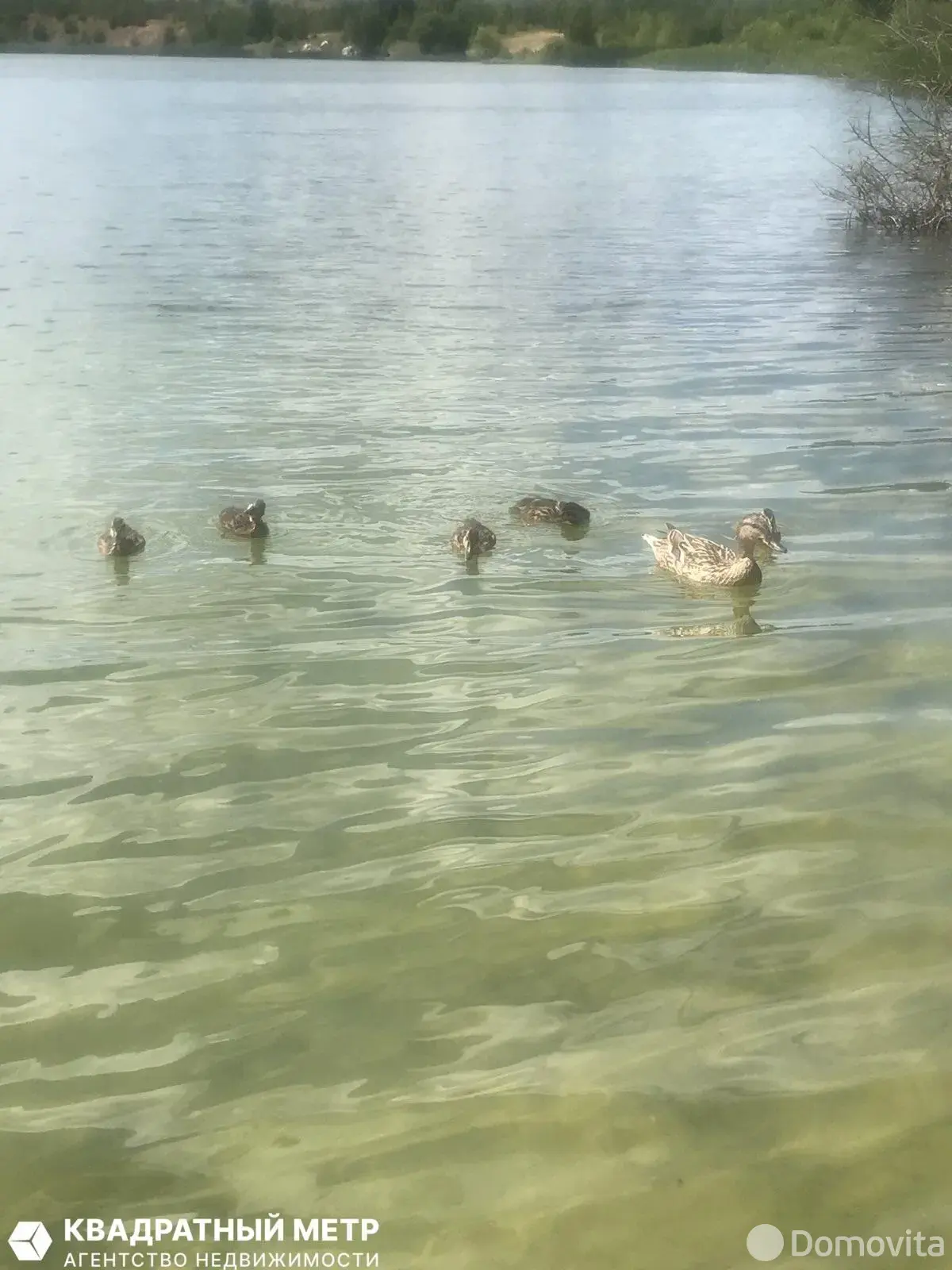 Цена продажи дачи, Инженер, 