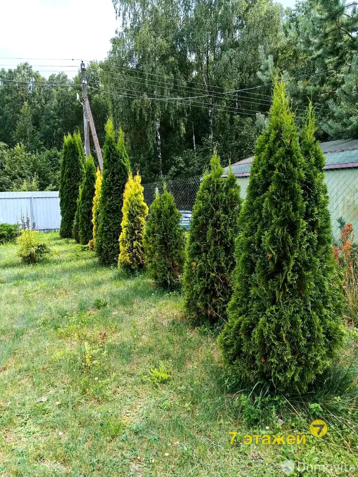 Купить 1-этажную дачу в ПЕЛЕНГ Минская область, 19500USD, код 184047 - фото 20