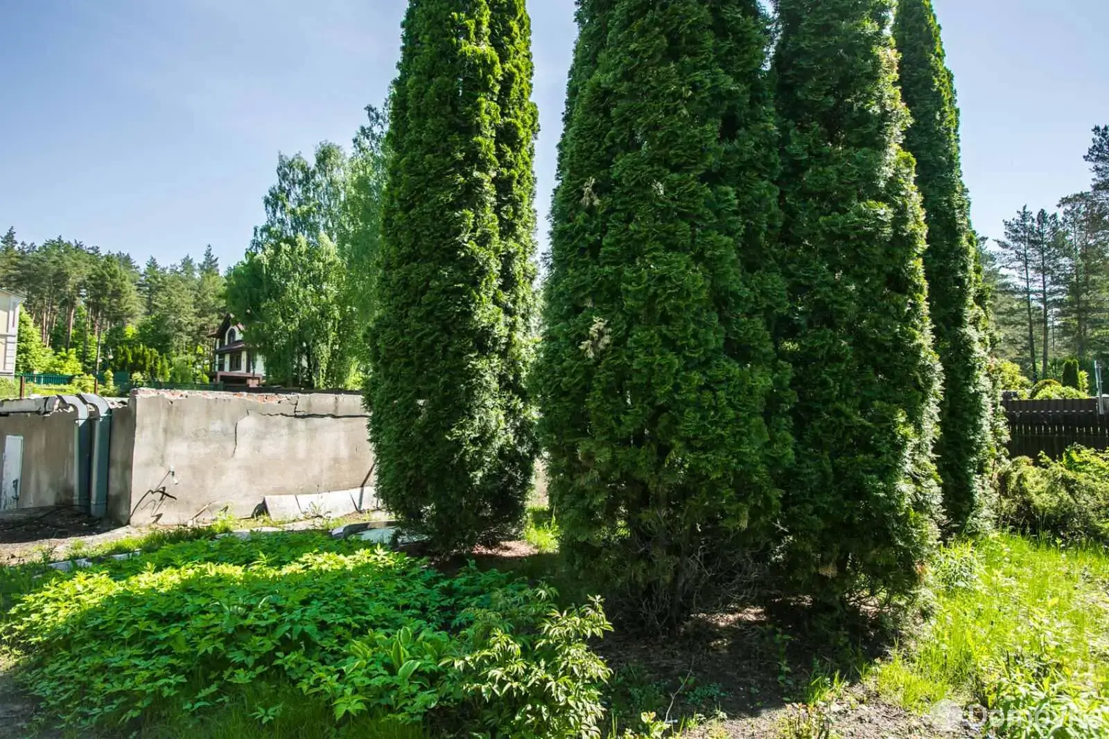 Купить земельный участок, 10 соток, Ждановичи, Минская область, 737505BYN, код 572009 - фото 12