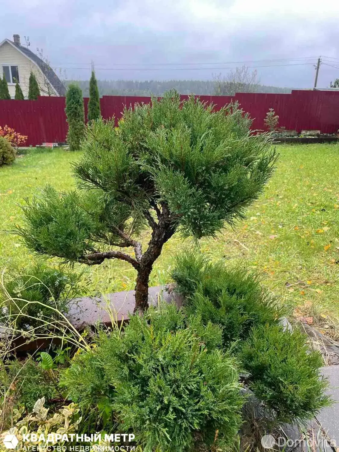 Купить 3-этажную дачу в Медик Минская область, 64900USD, код 185231 - фото 33