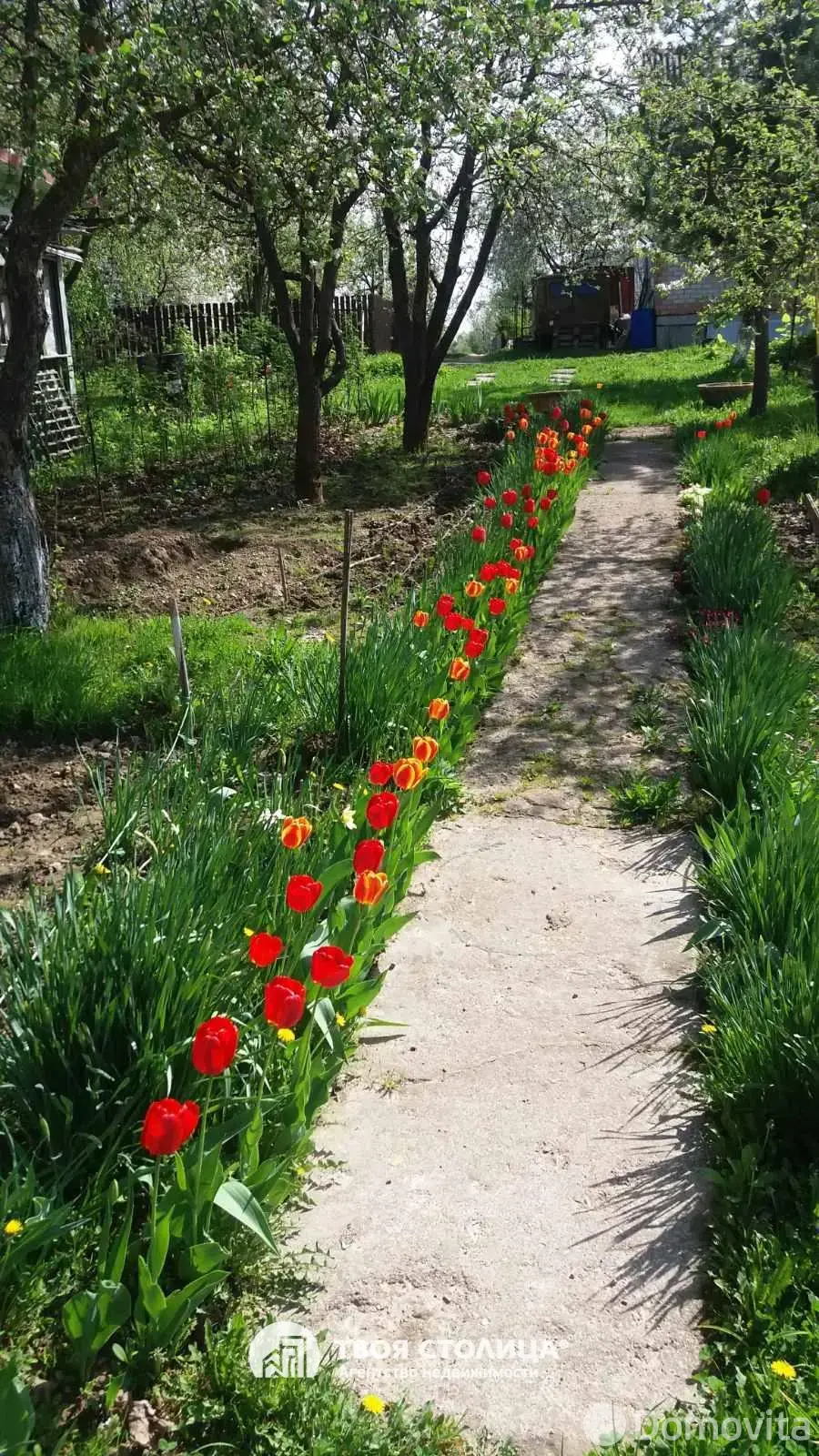 дача, Золотой колосок, - лучшее предложение