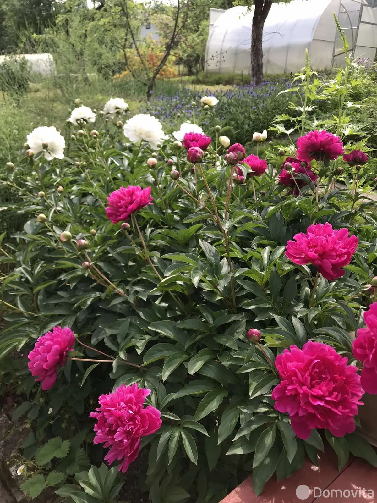 Продажа 3-этажной дачи в МЕДТЕХНИК Минская область, 14900USD, код 182578 - фото 26