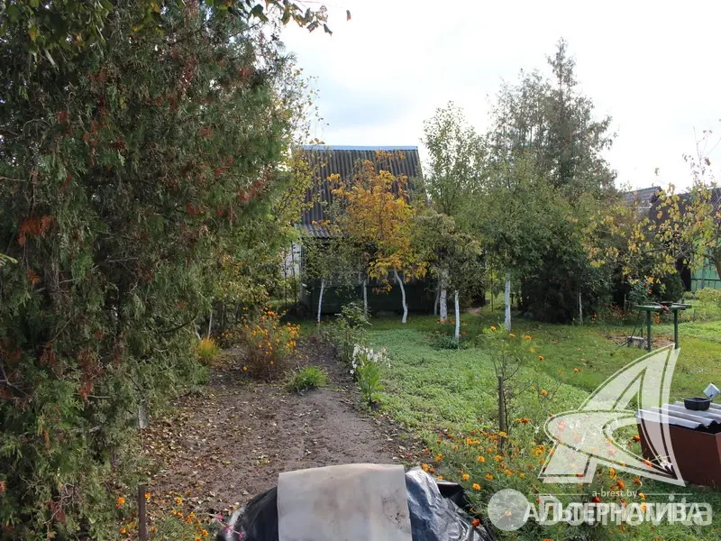Продажа 1-этажной дачи в Молодая гвардия 91 Брестская область, 21000USD, код 184415 - фото 19