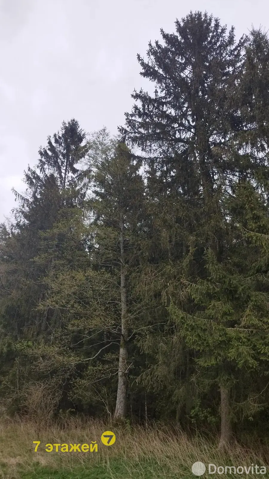 Продажа 2-этажной дачи в Строитель-35 Минская область, 11900USD, код 182703 - фото 18