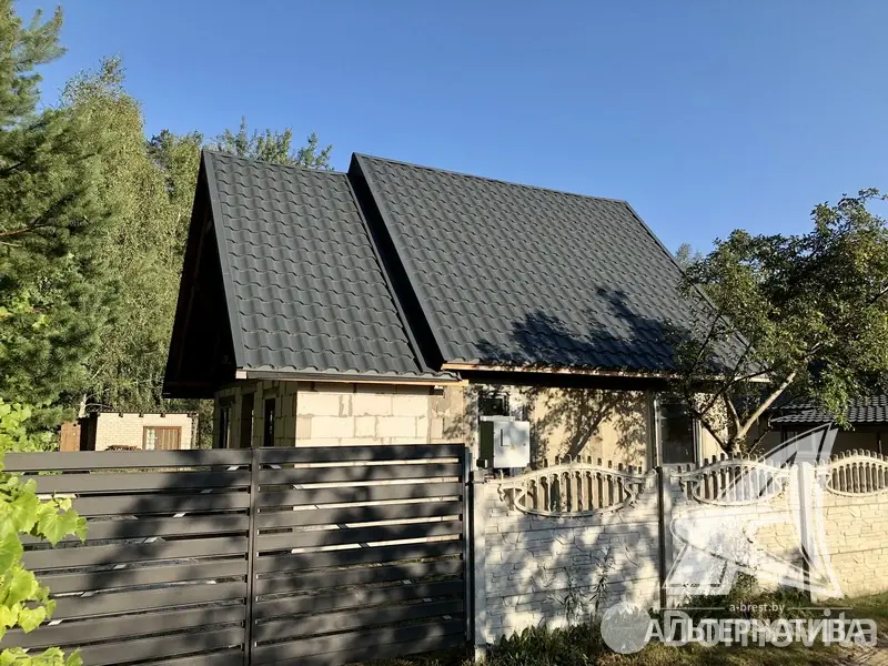 дача, Меркурий ТПП, 