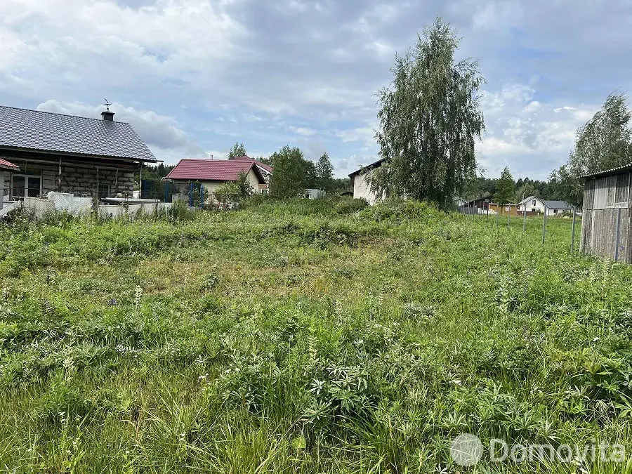 участок, Птичь-2,