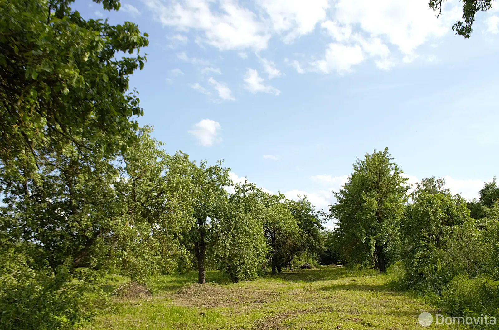 Купить земельный участок, 25 соток, Селище, Минская область, 6900USD, код 570642 - фото 16