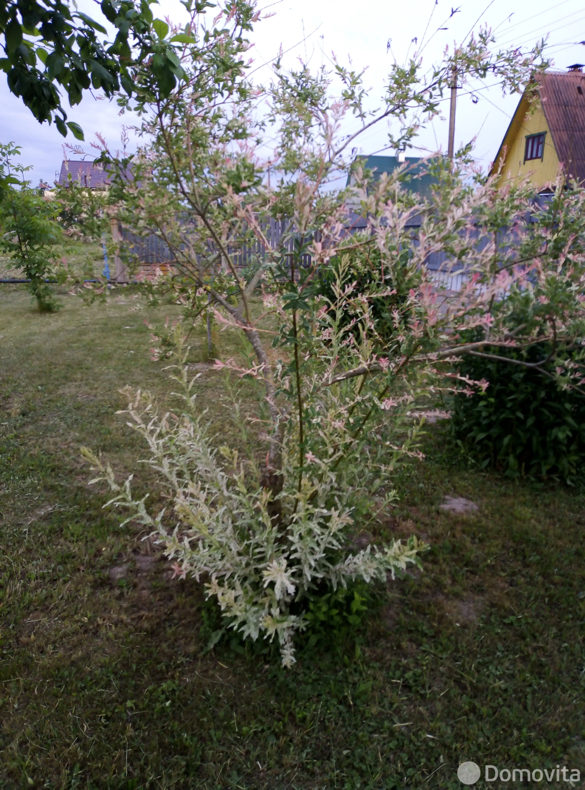 Стоимость продажи дачи, Подлесное, 