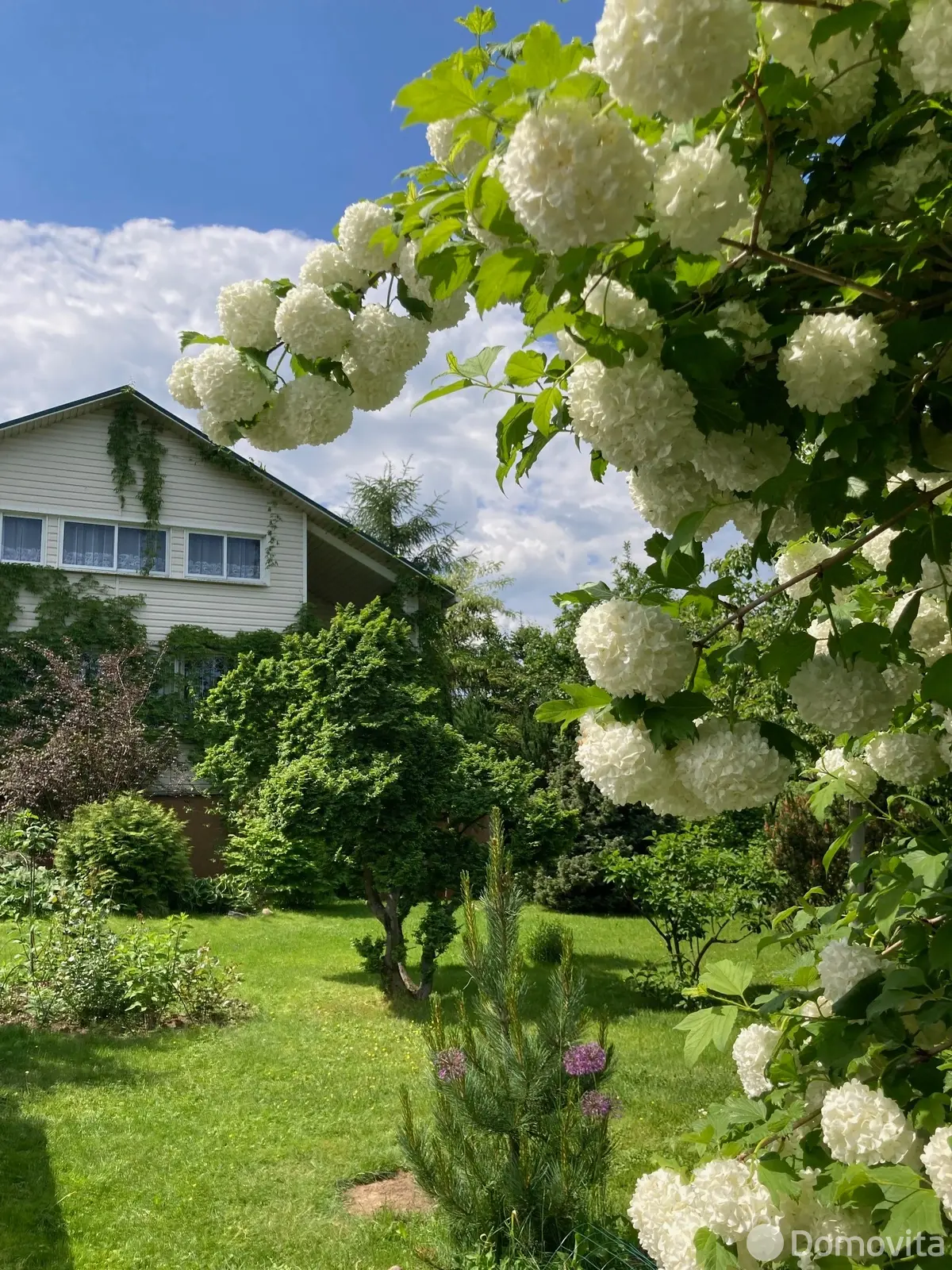 коттедж, Белые Росы-2001, от собственника