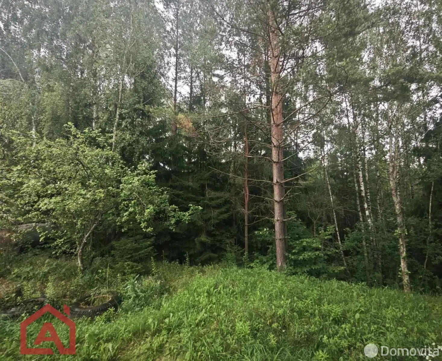 Купить земельный участок, 15 соток, Мончаки, Минская область, 89000USD, код 570778 - фото 15