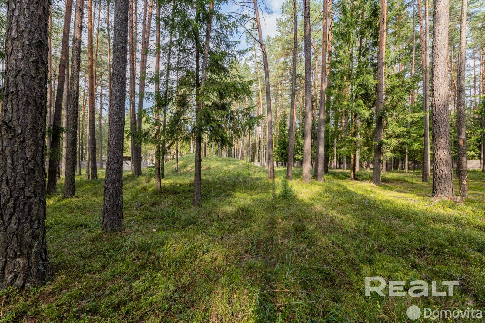 Купить помещение под сферу услуг в Ракове, ул. Боровая - фото 7