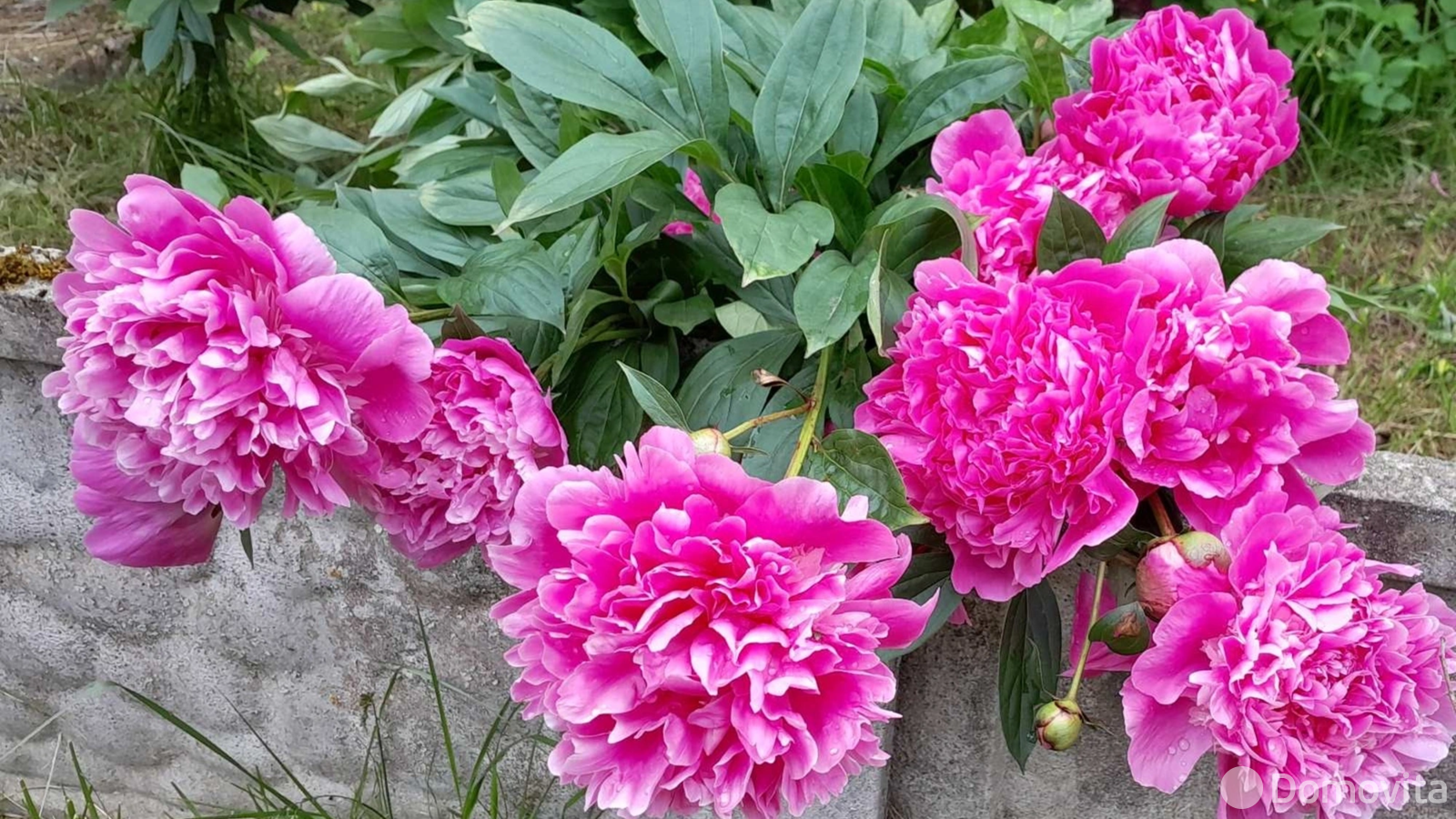 Продажа 2-этажной дачи в Уютная поляна Минская область, 64700USD, код 182512 - фото 23