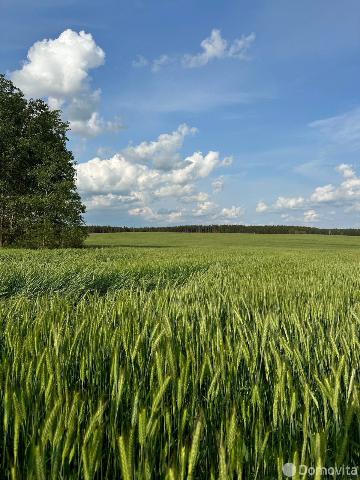 коттедж, Шеметово, ул. Соловьиная