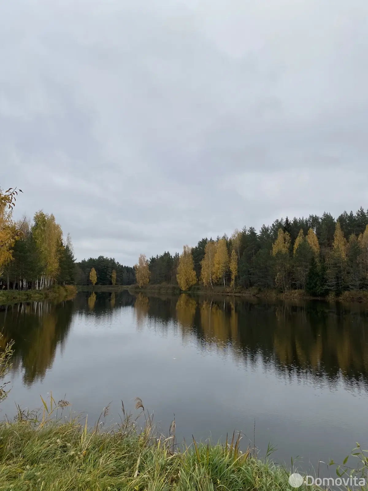 объект сферы услуг, Щарка, ул. Центральная, д. 1Б