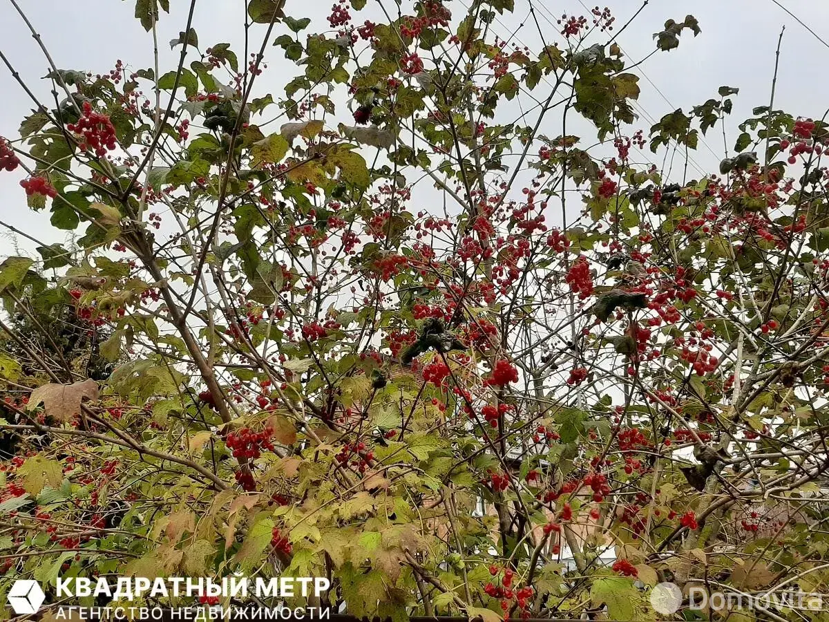 Купить 2-этажную дачу в ДАЛЬНИЙ ОСТРОВ Минская область, 8000USD, код 185760 - фото 19