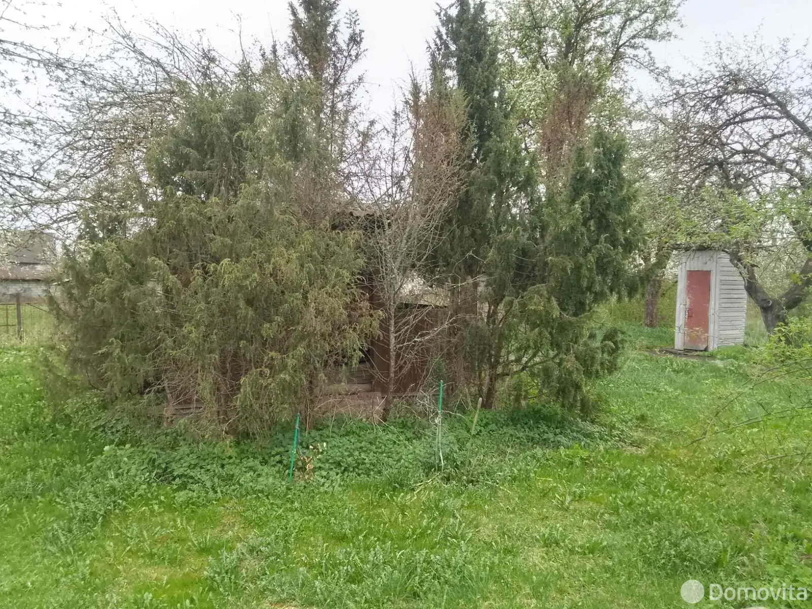 Купить 1-этажную дачу в Людвиново Минская область, 17900USD, код 183492 - фото 32