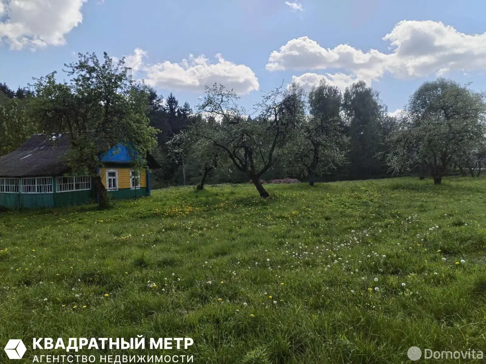 дом, Вязынка, ул. Гурновичи 