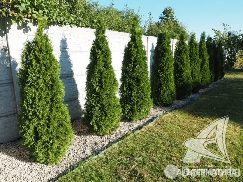 дом, Старое Село, 