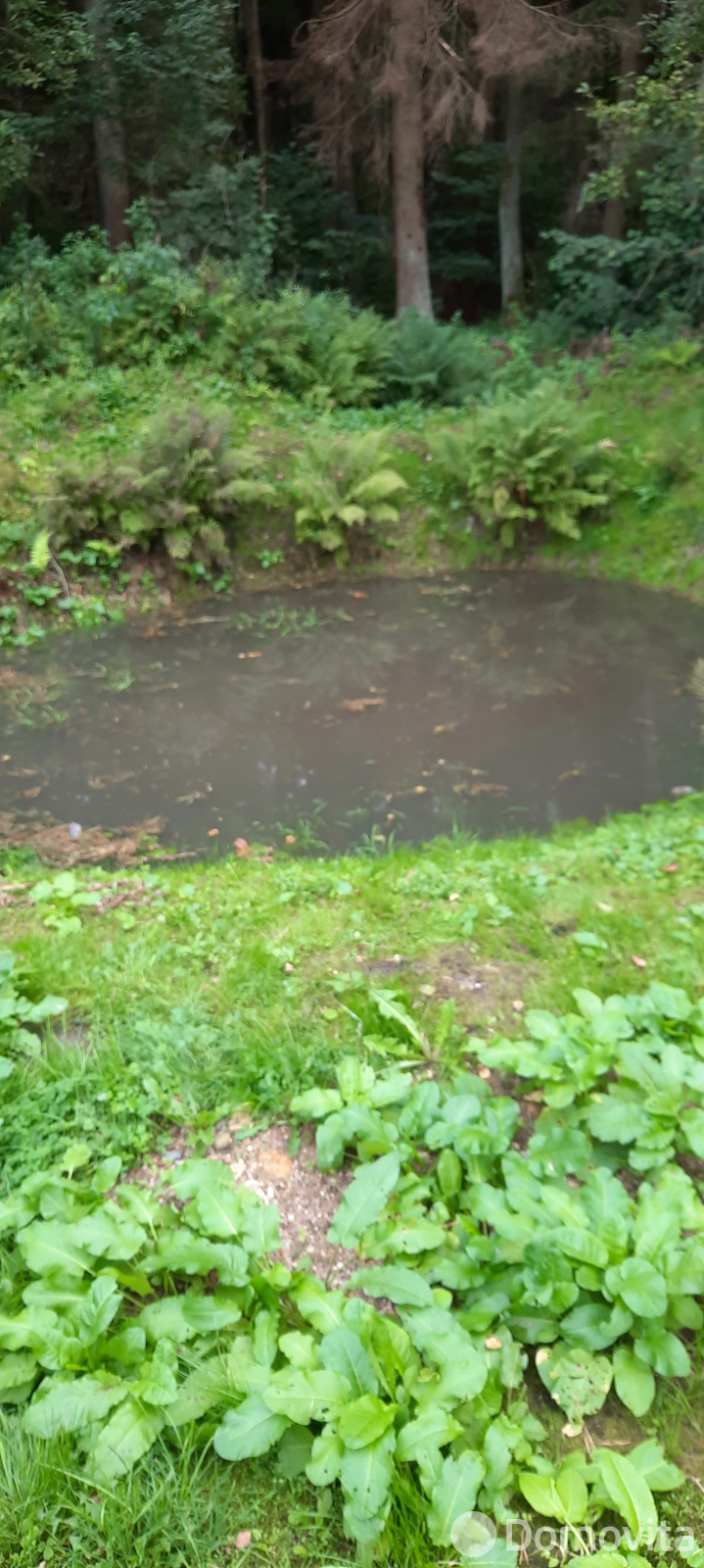 Купить земельный участок, 8 соток, Молодечно, Минская область, 22000USD, код 571007 - фото 14