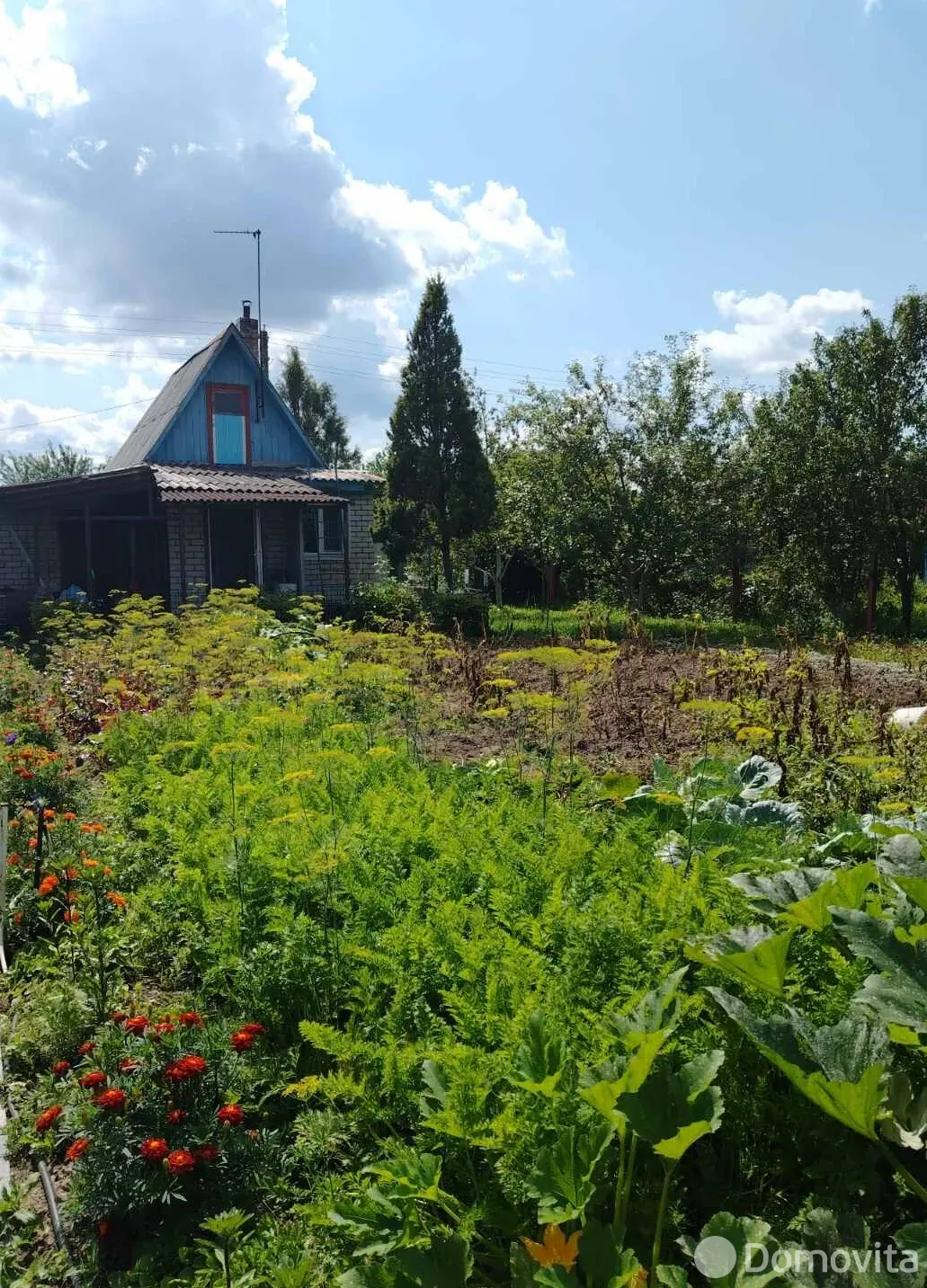 Продажа 1-этажной дачи в Здоровье-95 Минская область, 21000USD, код 184757 - фото 20