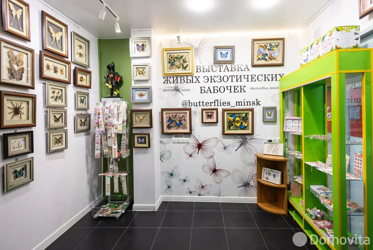 Продажа торговой точки на ул. Кирилла Туровского, д. 16 в Минске, 170000USD, код 998494 - фото 12