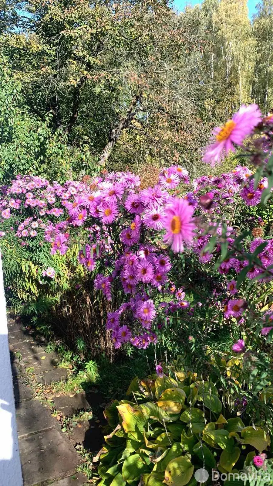 Продажа 3-этажной дачи в МЕДТЕХНИК Минская область, 14900USD, код 182578 - фото 30