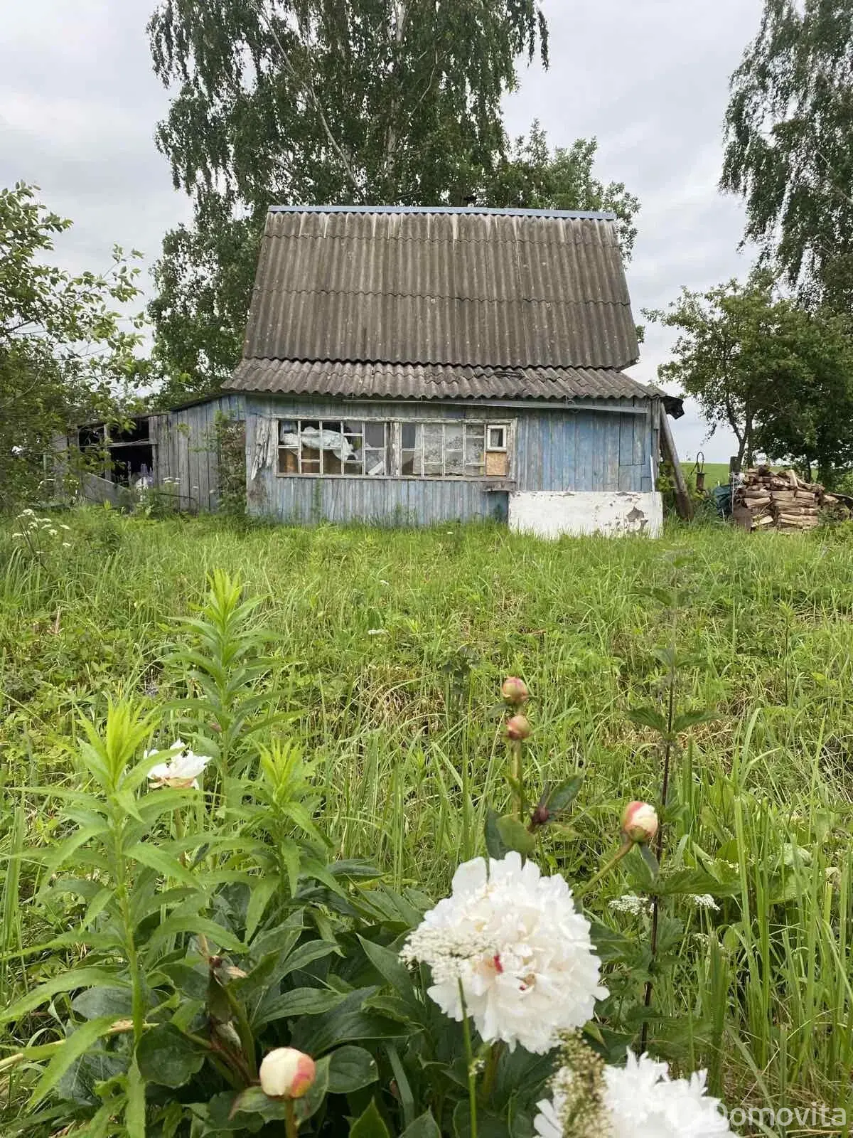 дача, Подлесное, д. 149