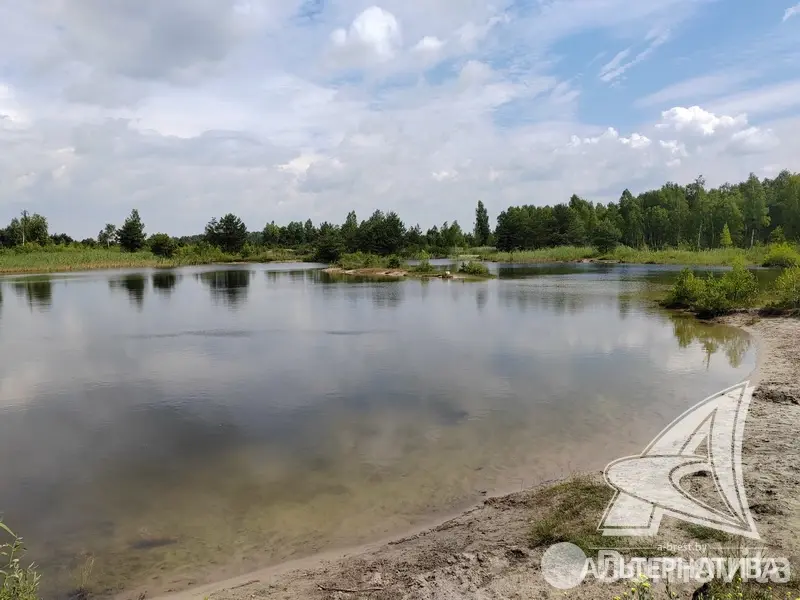 Купить земельный участок, 6.73 соток, Березка, Брестская область, 10900USD, код 570878 - фото 12