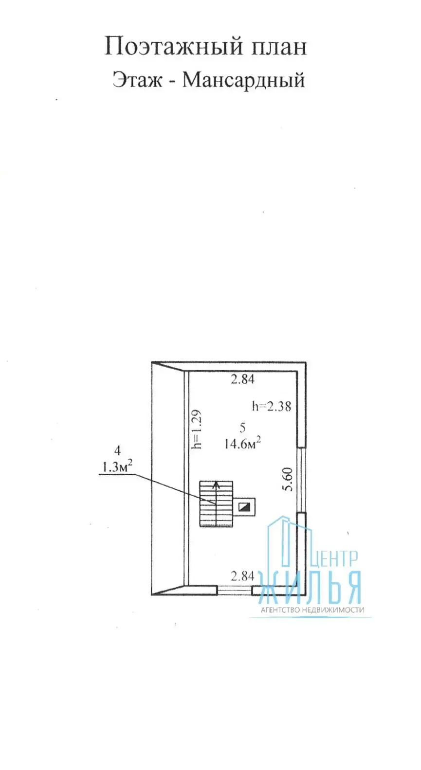 дача, Елочка,