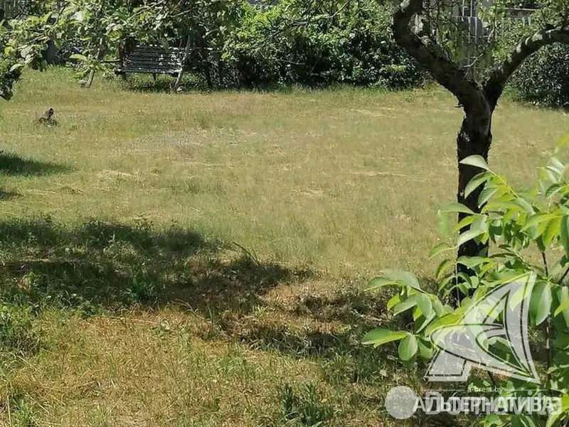 участок, Леснянка,