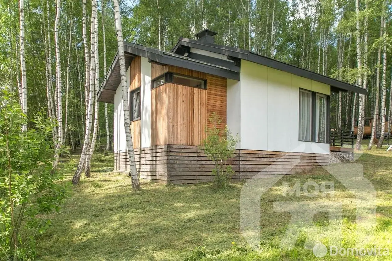 Продажа 1-этажной дачи в Минская область, 192600BYN, код 185970 - фото 17