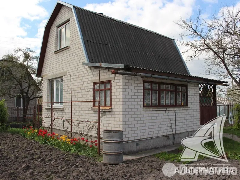 дача, Суница-80, 