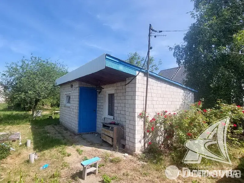 дача, Транспортник-91, 