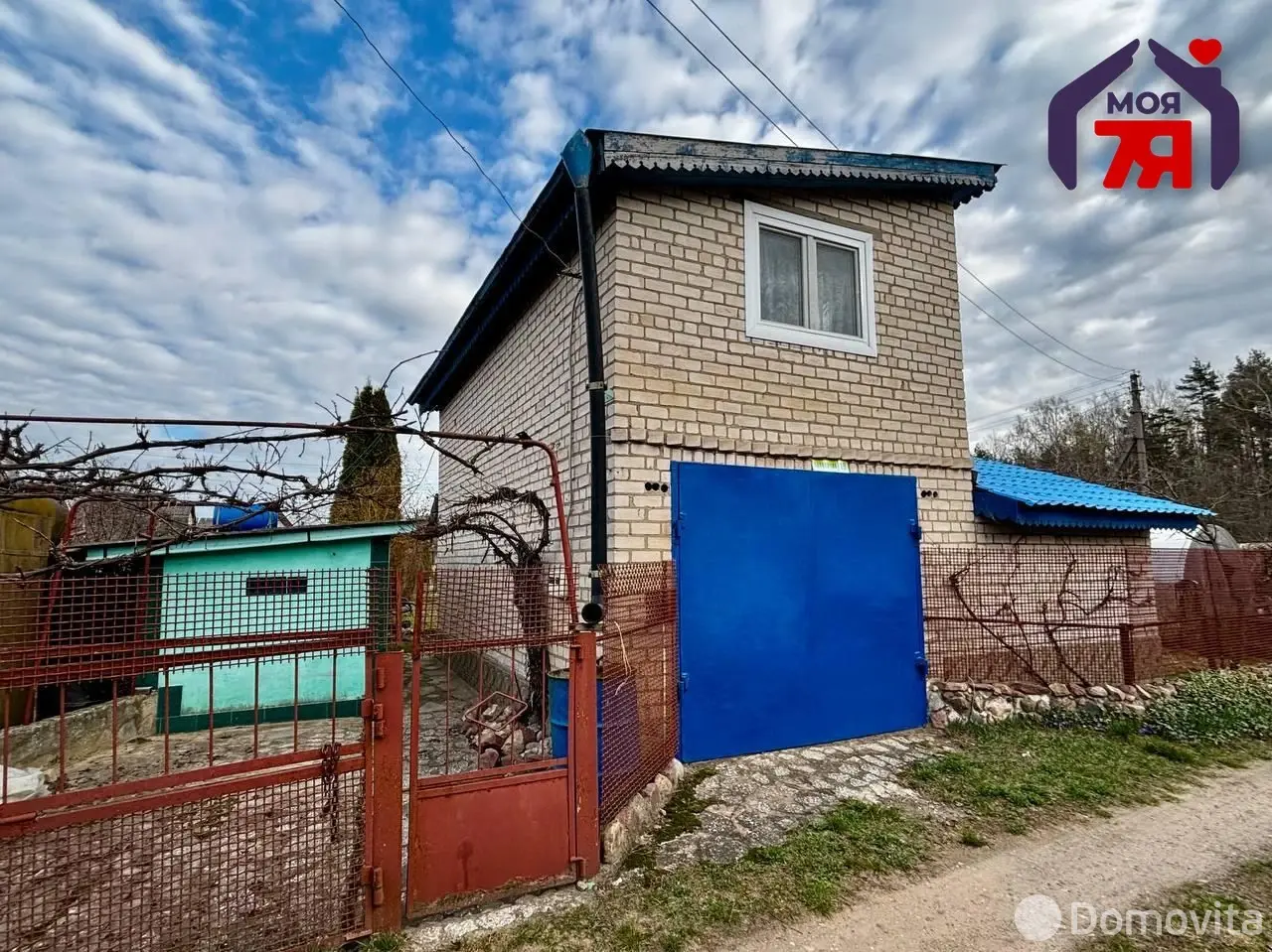 дача, Одуванчик, 