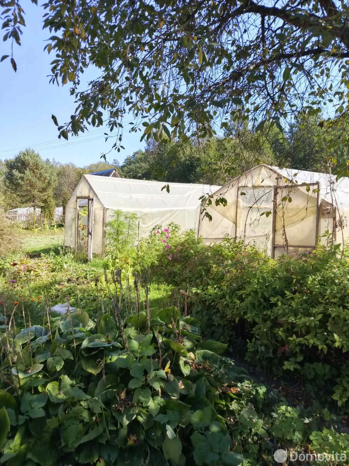 Продажа 2-этажной дачи в Залучье Витебская область, 16500USD, код 184114 - фото 24