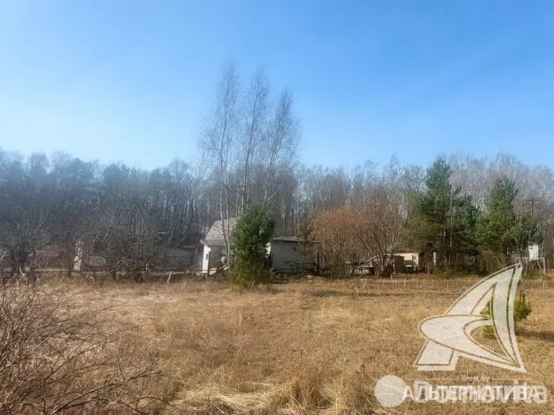 участок, Алеся-50, , стоимость продажи 41 016 р.