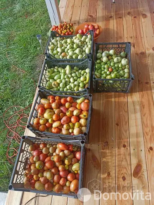 Продажа 1-этажной дачи в Весна-93 Минская область, 25000USD, код 182224 - фото 11