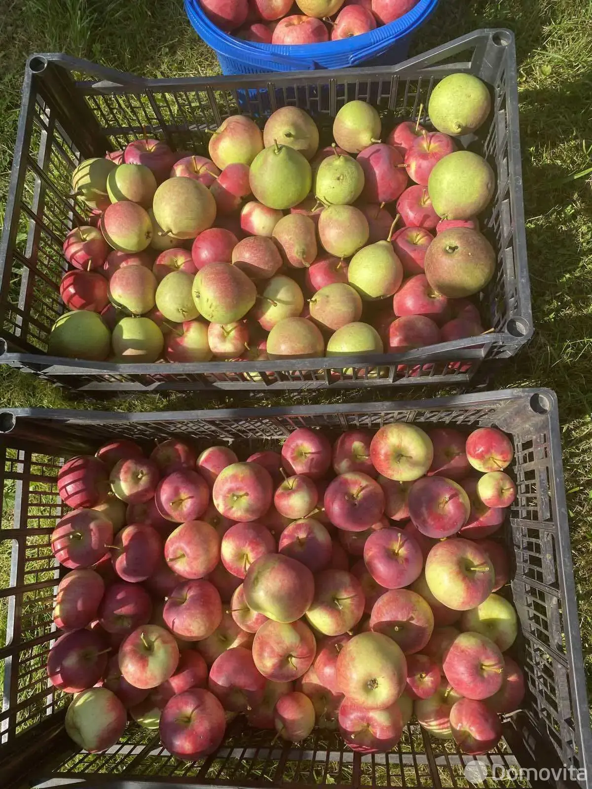продажа участка, Электрон-89, 