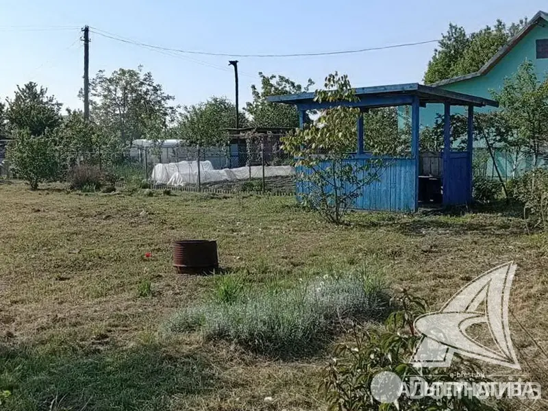 продажа участка, Урожай ОАО Брестхлебопродукт,