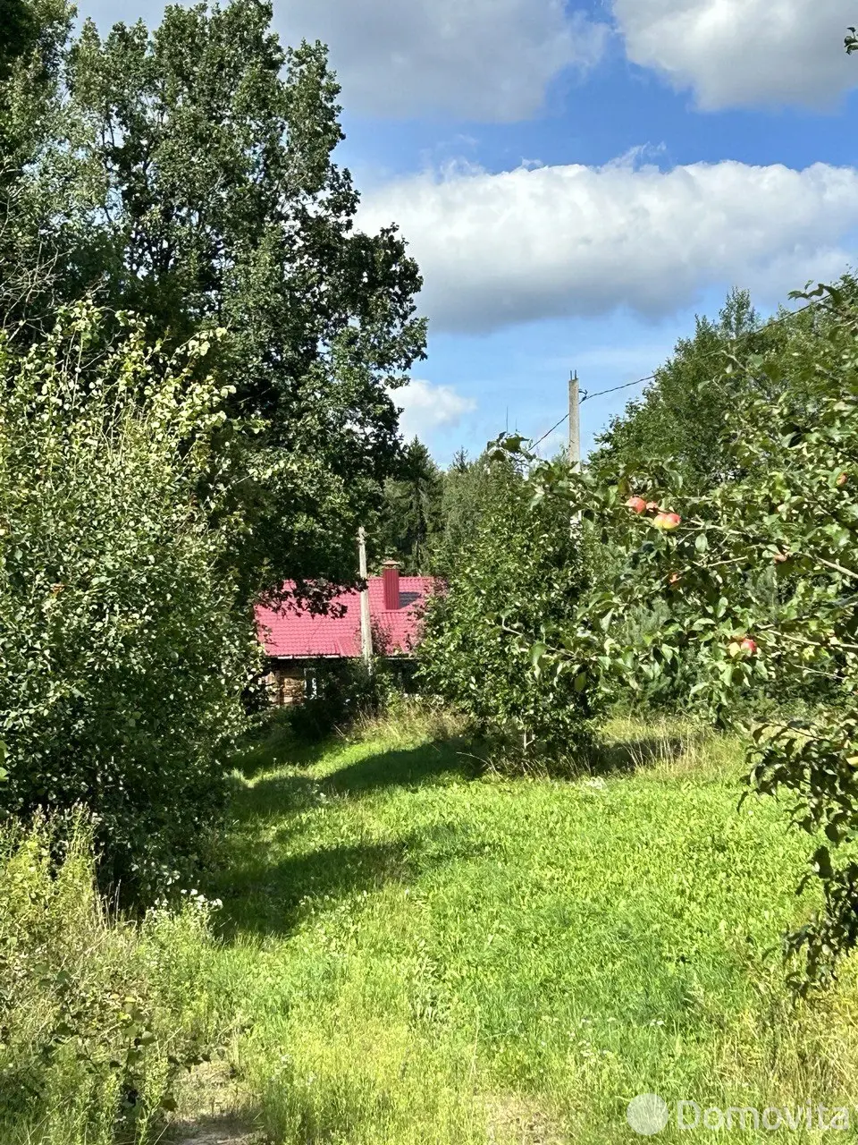 Купить 1-этажную дачу в Сморгони Гродненская область, 101000BYN, код 186415 - фото 16