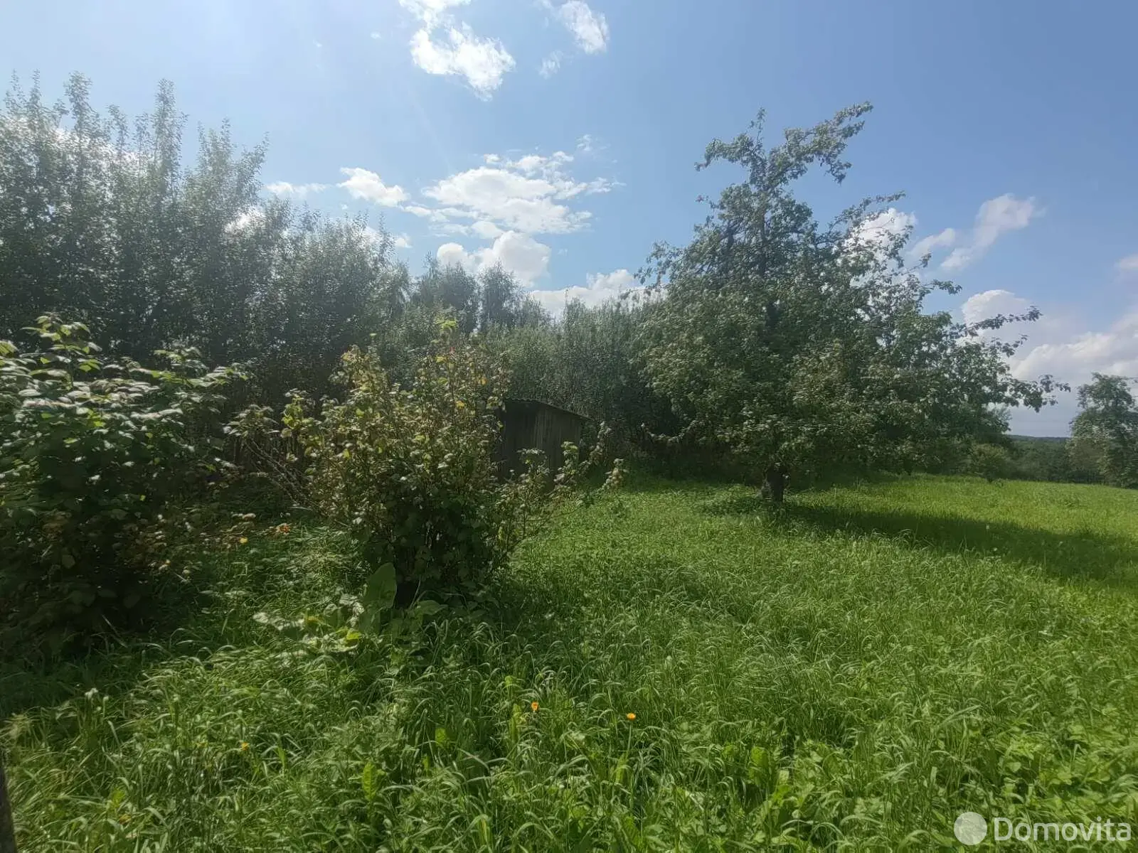 коттедж, Великое Село, ул. Центральная, стоимость продажи 42 587 р.