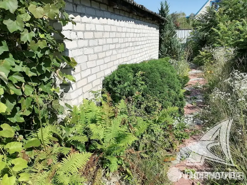 Продажа 2-этажной дачи в Леснянка Брестская область, 27000USD, код 165253 - фото 13