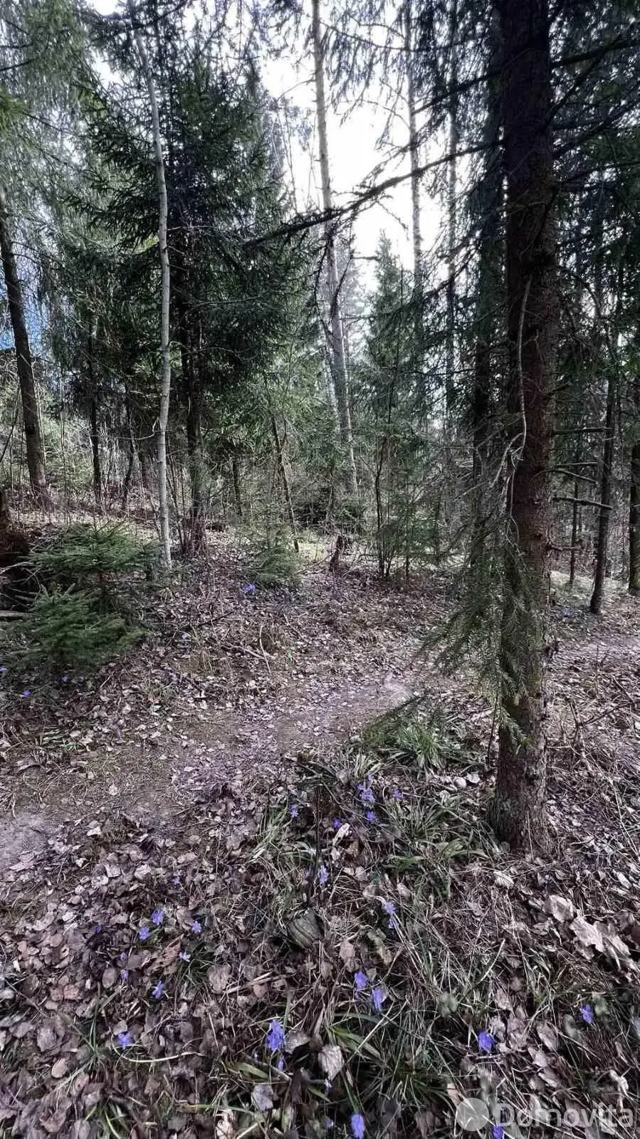 участок, Мичуринец-58, 