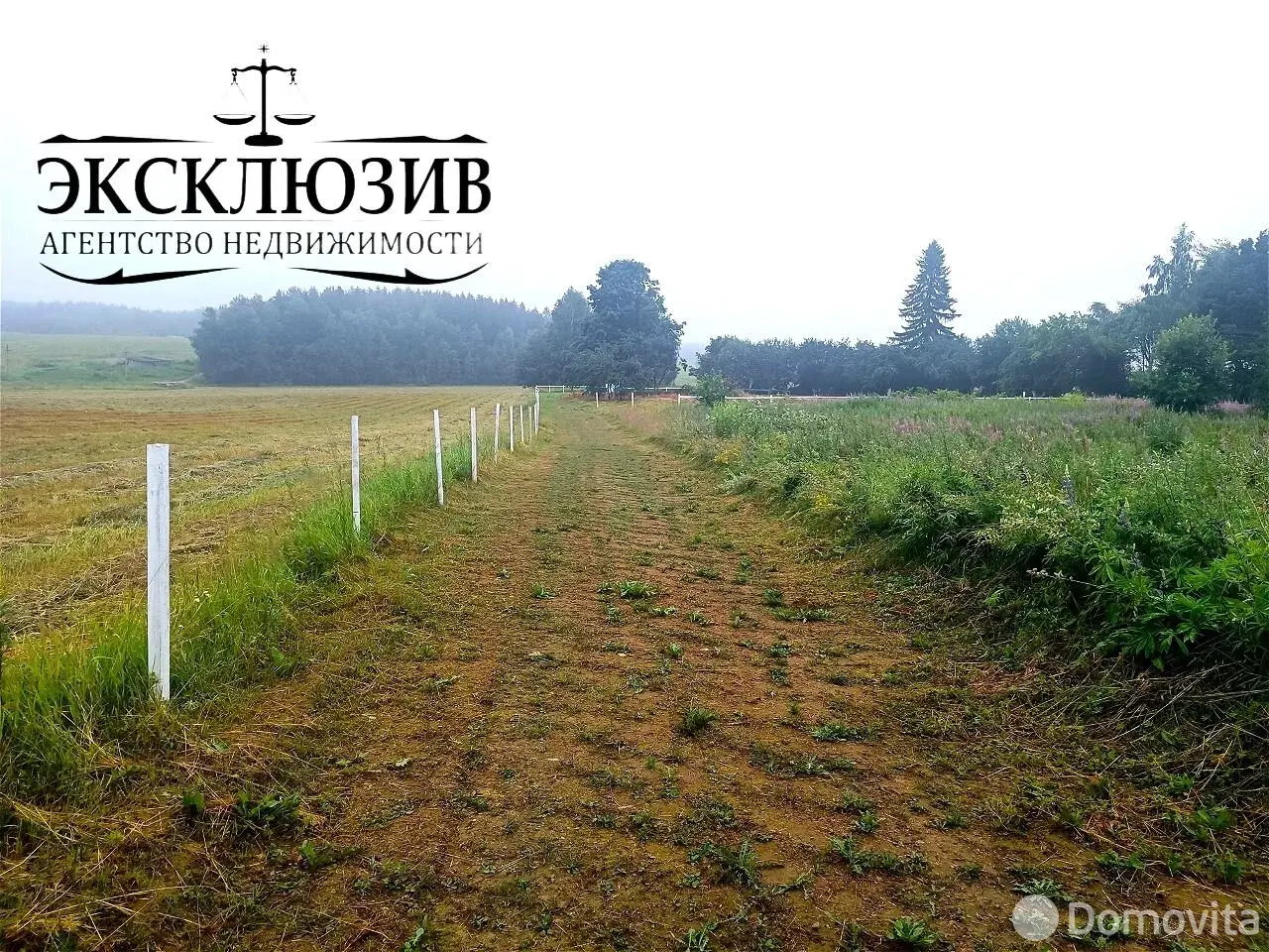 Купить земельный участок, 25 соток, Гиревичи, Минская область, 140000BYN, код 572180 - фото 23