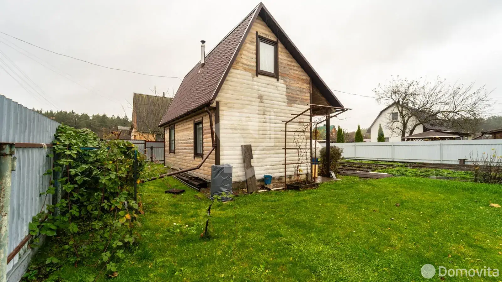 дача, Шарик,